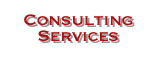 Consulting Services